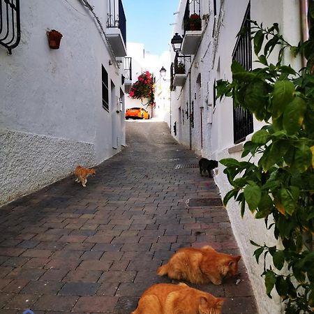 Vida Mia Almeria Vera Εξωτερικό φωτογραφία